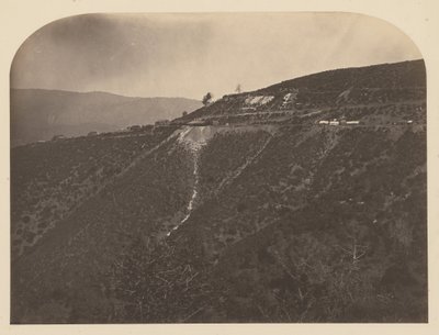 (Pine Tree Mine) von Carleton E. Watkins